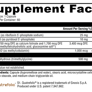 Methyl Protect 60 Capsules