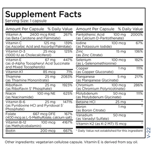 The Big One without Iron 90 Capsules