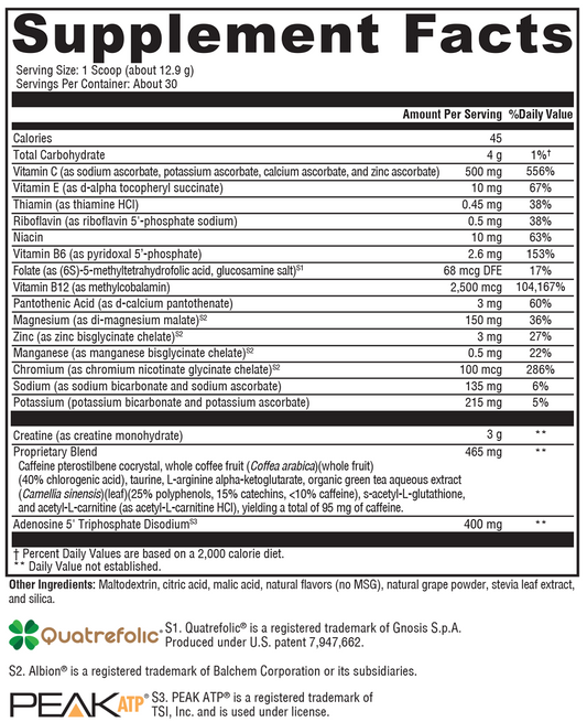 ATP Ignite Workout Mixed Berry 30 Servings